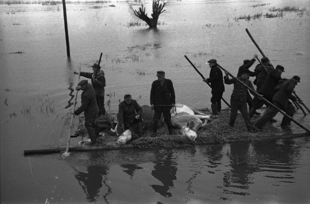Hochwasser im Oderbruch 1947